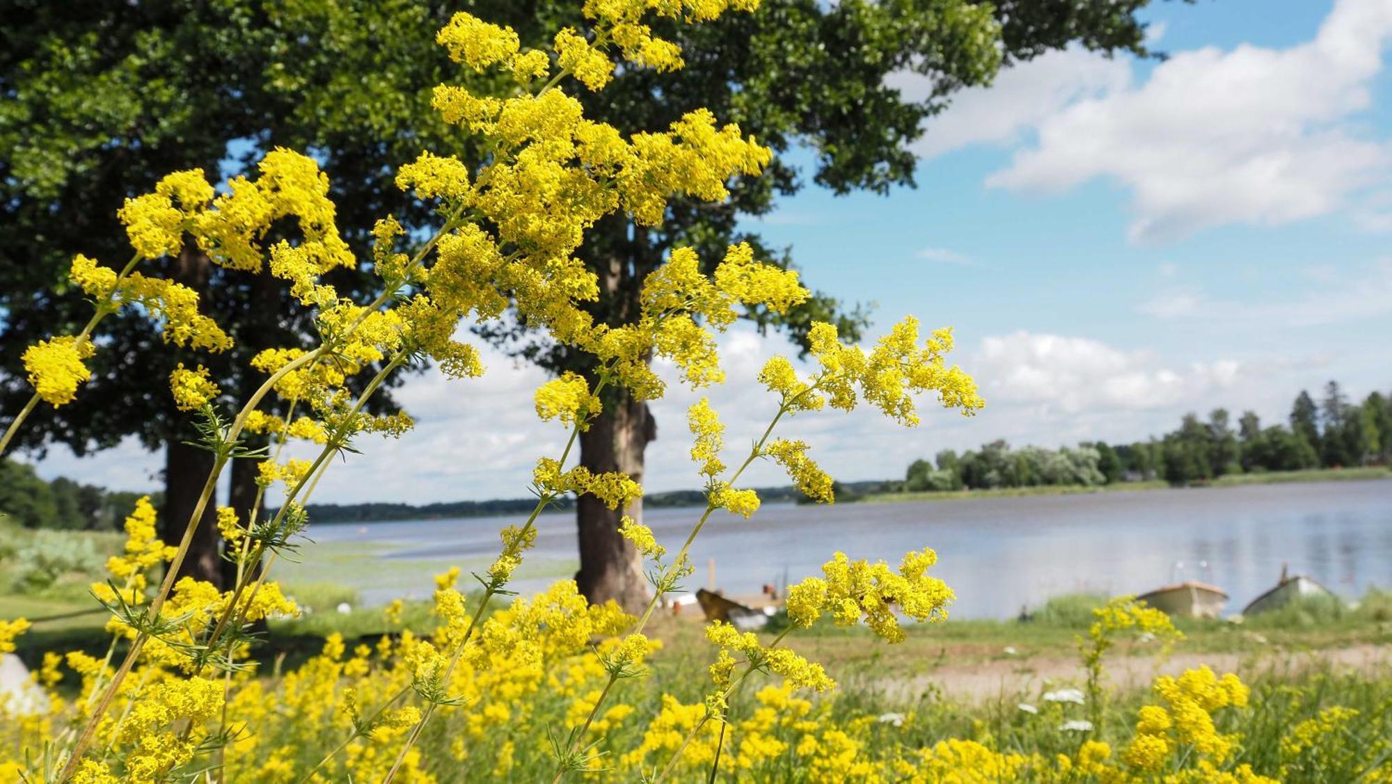 Komplett Laegenhet Med Sjoeutsikt Malmon Buitenkant foto
